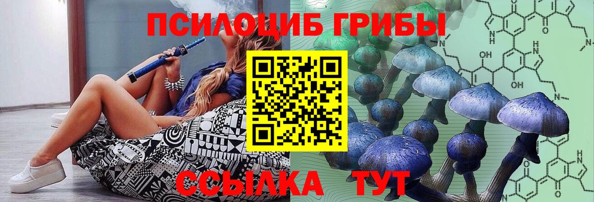 Псилоцибиновые грибы Cubensis  Вход с VPN  Псилоцибиновые грибы Magic Shrooms  Славянск-на-Кубани 